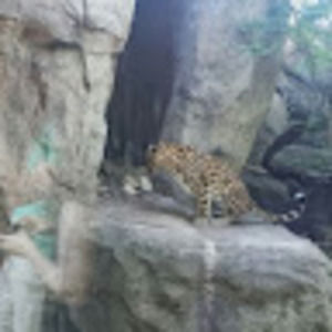 Meet your Posher, Mr.